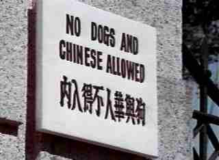 nodogsandchineseallowed No Dogs And Chinese Allowed